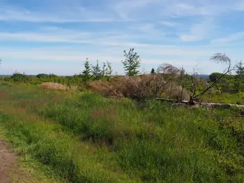 Signal de Botrange (België)